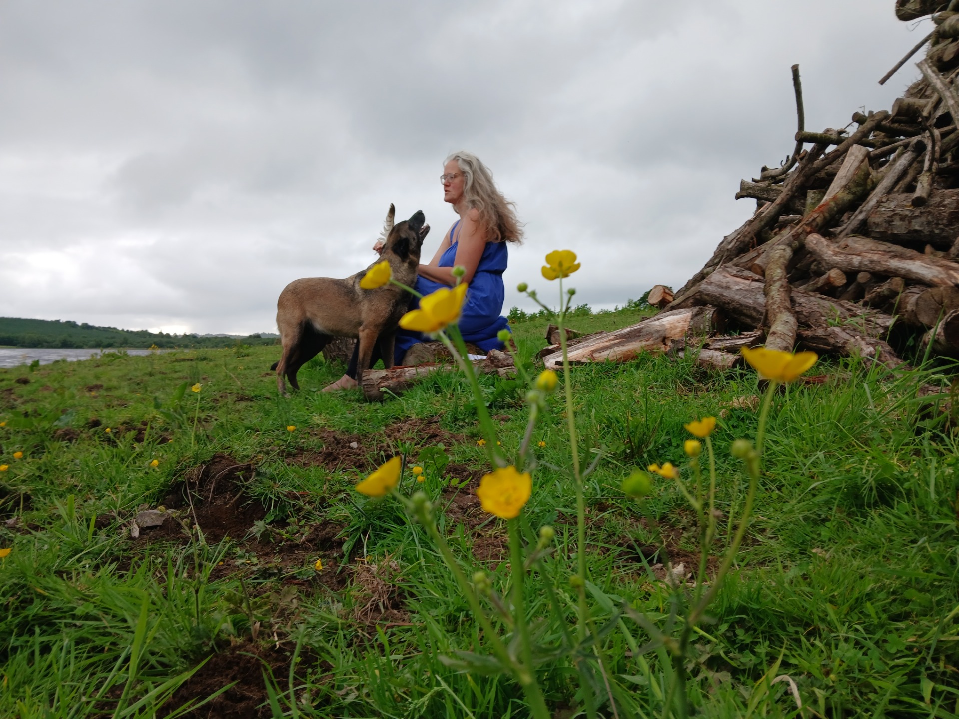 Brigid our beautiful dog is always present to me on our walks by the lake. Animals heal. Dogs are teachers, they teach us many lessons.